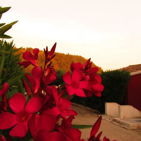 Kallopsia - Menigos By New Era Apartment Glyfada (Corfu)
