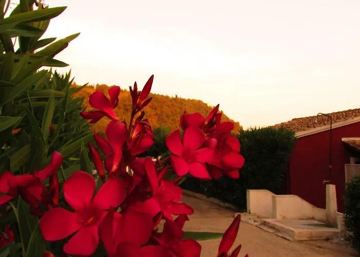Kallopsia 105 Corfu Menigos By New Era Apartment Glyfada (Corfu)